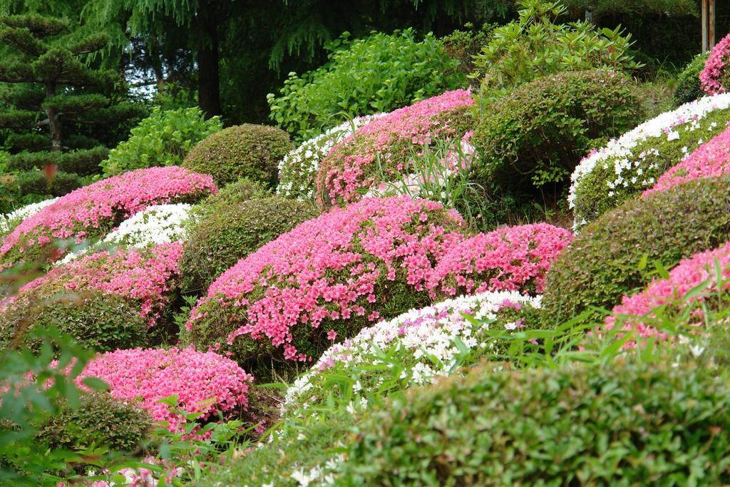 فندق Kounkaku Nihonmatsu المظهر الخارجي الصورة
